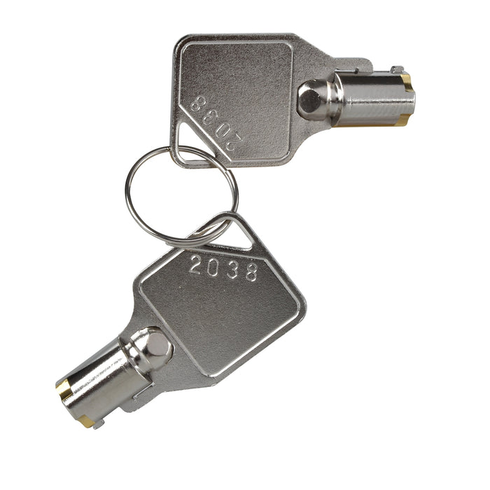 XCSZ25 Telemecanique safety switch XCS keys - set of 10