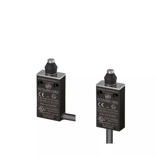 FCT2L09Z11D Giovenzana Wired thermoplastic limit switch din holes - 2m - Gabby Electric