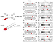 Phoenix Contact 1014422 HC - BB32 - I - PT - M Contact Insert 32+PE, Push - in, 500V 16A - Gabby Electric