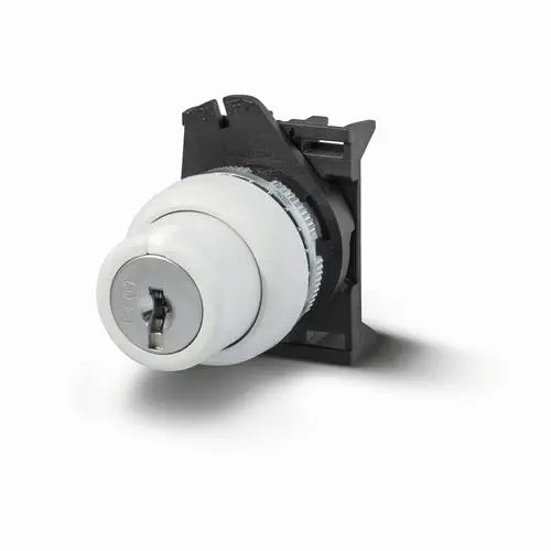 PSCR8D0NGL4X Giovenzana Key selector 0 - r 90° extraction in 0 - r nema 4x - Gabby Electric