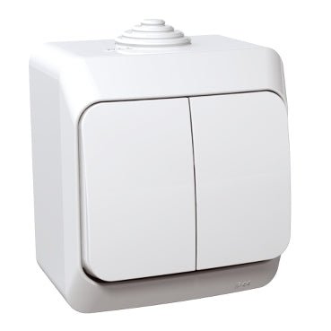 WDE000550 Schneider Electric WNT - 500Y Cedar 2 pole switch 16A IP44, white - Gabby Electric