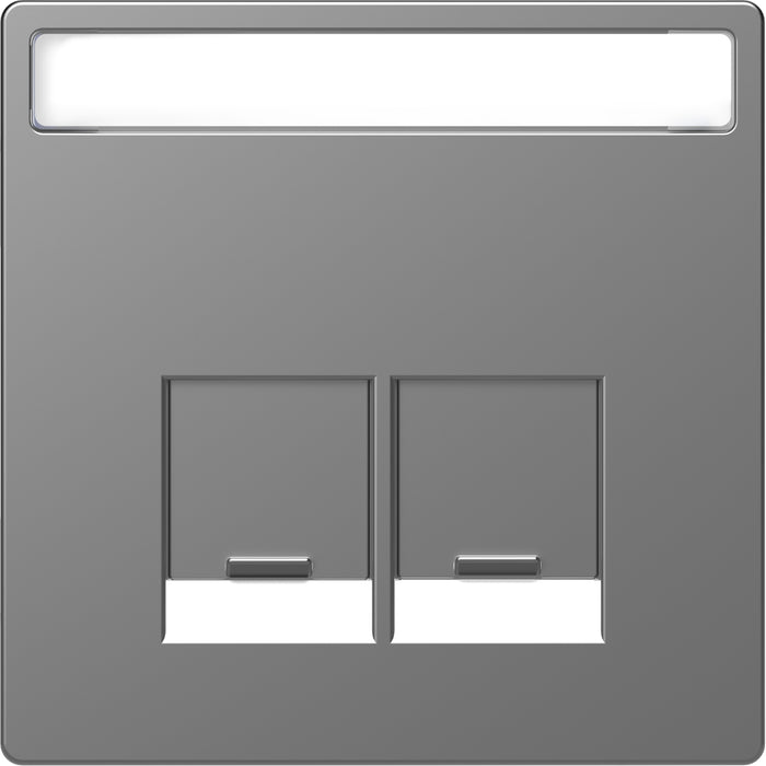 MTN4574-6036 Cen.pl. 2-gng w. labeling field f. Schneider Electric RJ45-Connctr. ss.Sys.Des.