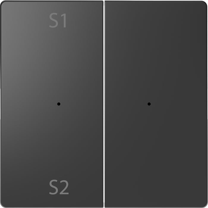 MTN5226-6034 Rocker, Merten System Design, for 2-gng pbutton module (scene 1/2, blank), anthracite