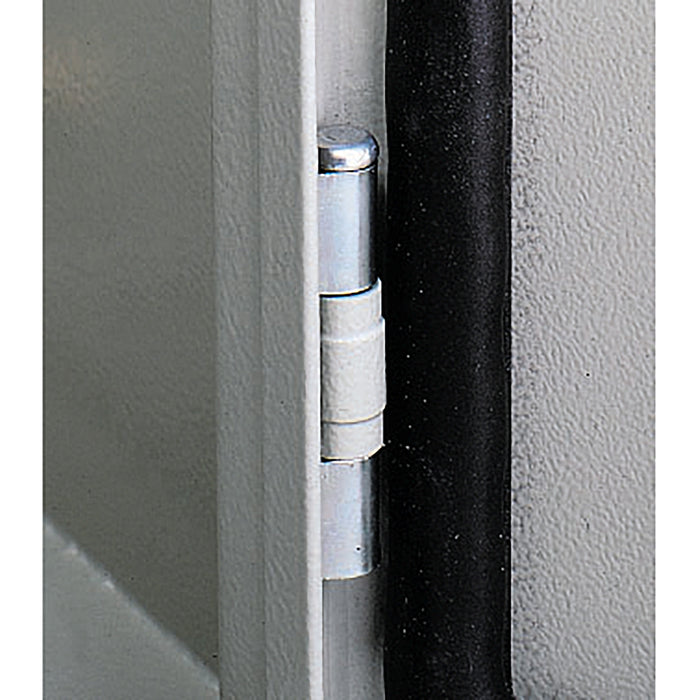 NSYAEDH120S3D Door hinges for Spacial S3D encl. Set of 1 hinge, supplied with fixings.