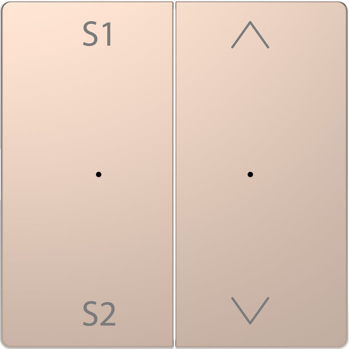 MTN5227-6051 Rocker, Merten System Design, for 2-gng pbtn module (Scene1/2, Up/Down), champagne metallic