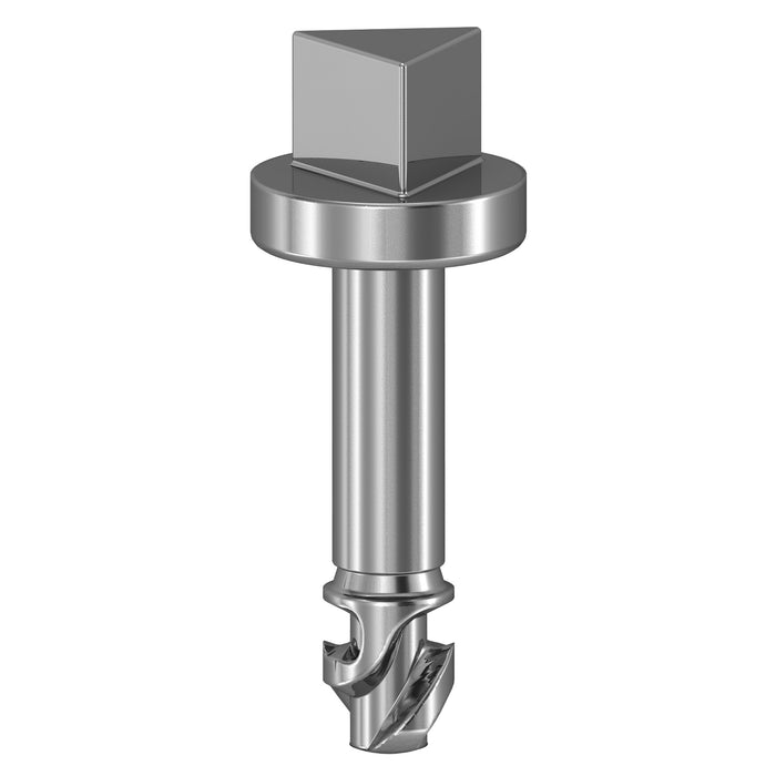 NSYAEDSTSB Triangular screws, Ø6.5 mm, for SBM boxes