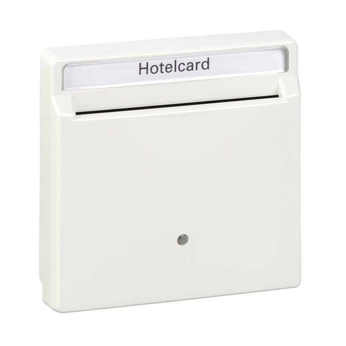 MTN315319 Hotel keycard holder, polar white, Artec/Trancent/Antique