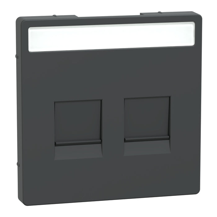 MTN4564-6034 Cover plate, Merten System M, with lid & label for 2 data socket, anthracite