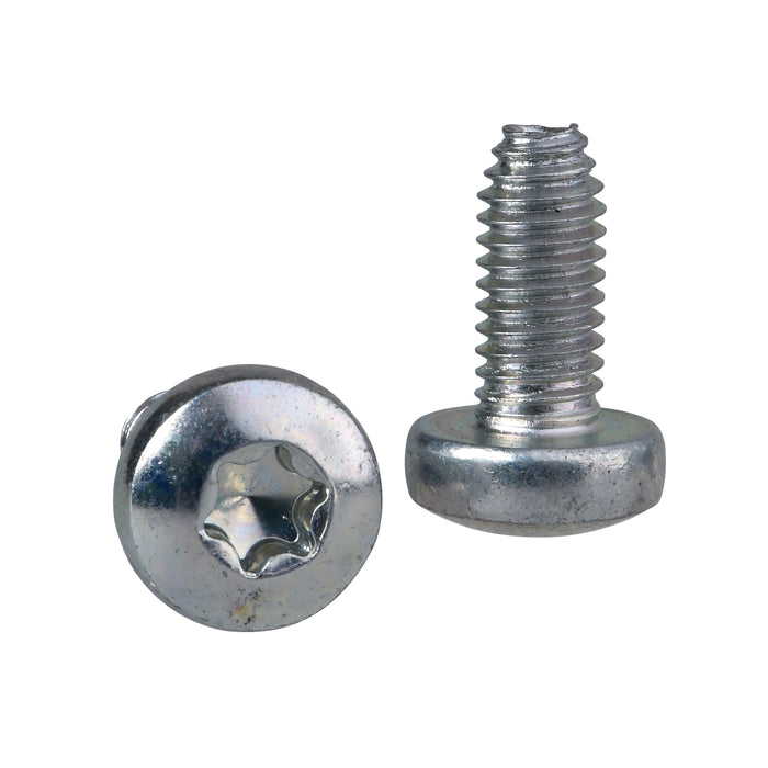 NSYST30M6S Self-tapping Torx screw M6x12mm + captive washer. Supply: 100 units