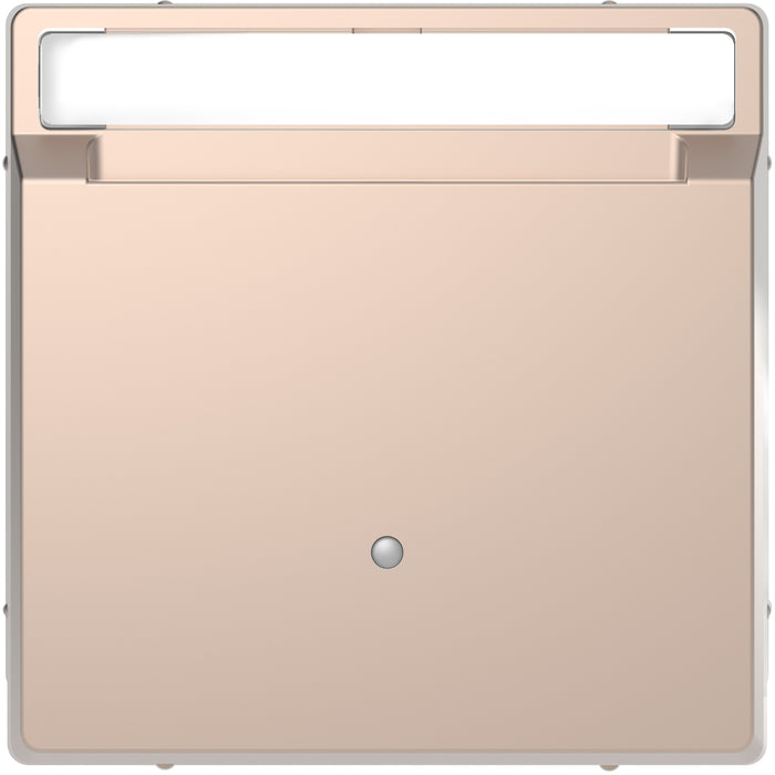 MTN3854-6051 Cover plate, Merten System M, for Hotel keycard holder, with labelling field, champagne metallic