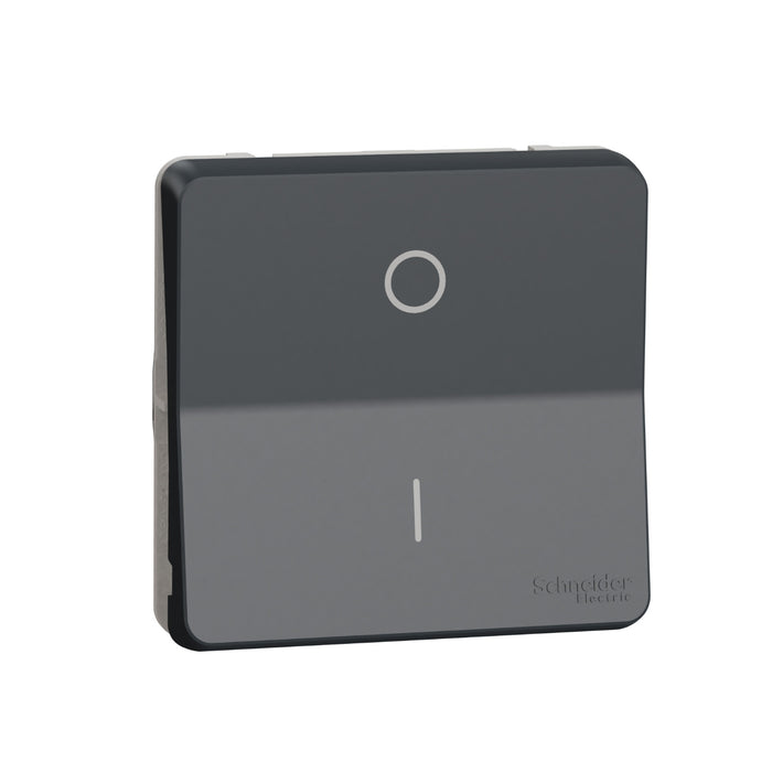 MUR35034 Switch, Mureva Styl, mechanism, 2-pole 1-way, electromechanical, 16AX, IP55, grey