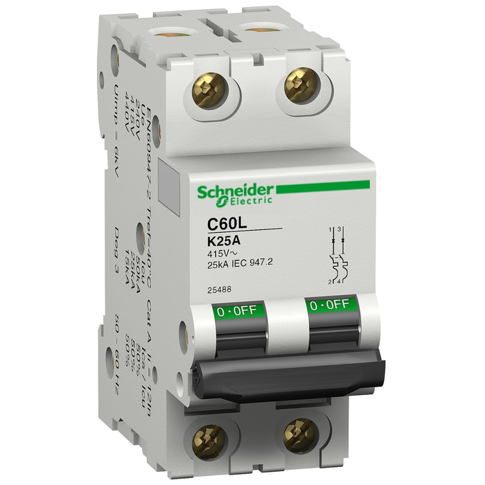 25480 C60 - circuit breaker - C60L - 2P - 2A - K curve