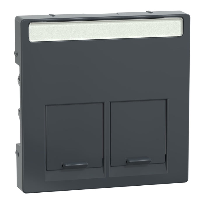 MTN466514 Cover plate, Merten System M, with lid & label for 2 data socket, anthracite